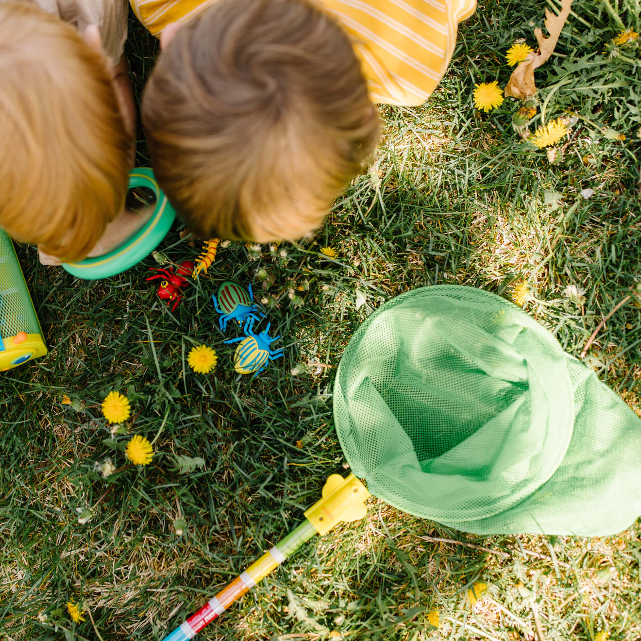 Bag of Bugs - Image 4